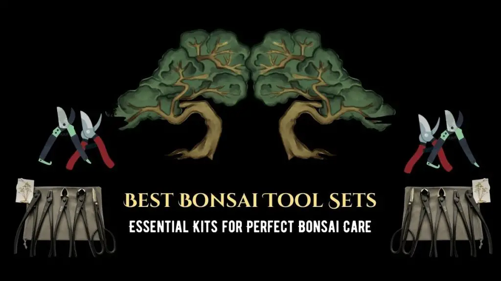 Best Bonsai Tool Sets