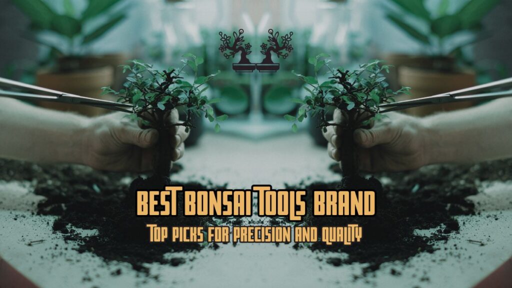 Best Bonsai Tools Brand