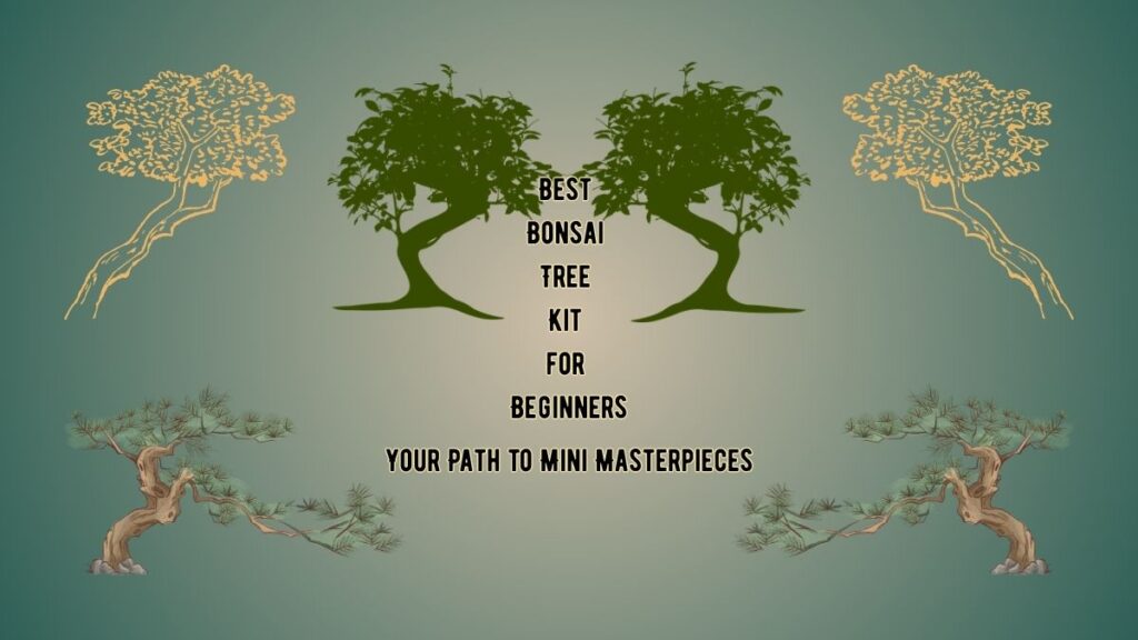 Best Bonsai Tree Kit