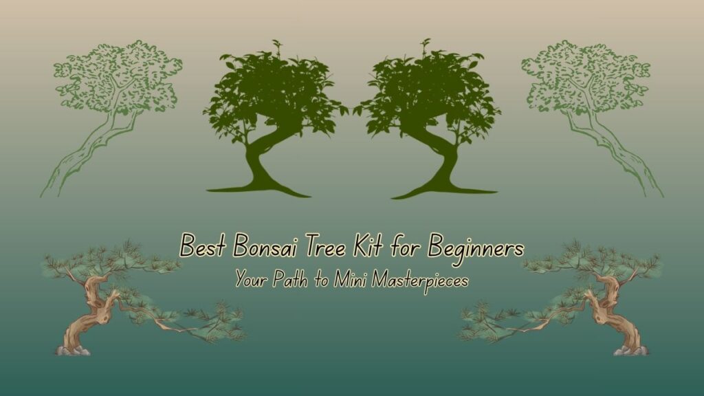Best Bonsai Tree Kit for Beginners