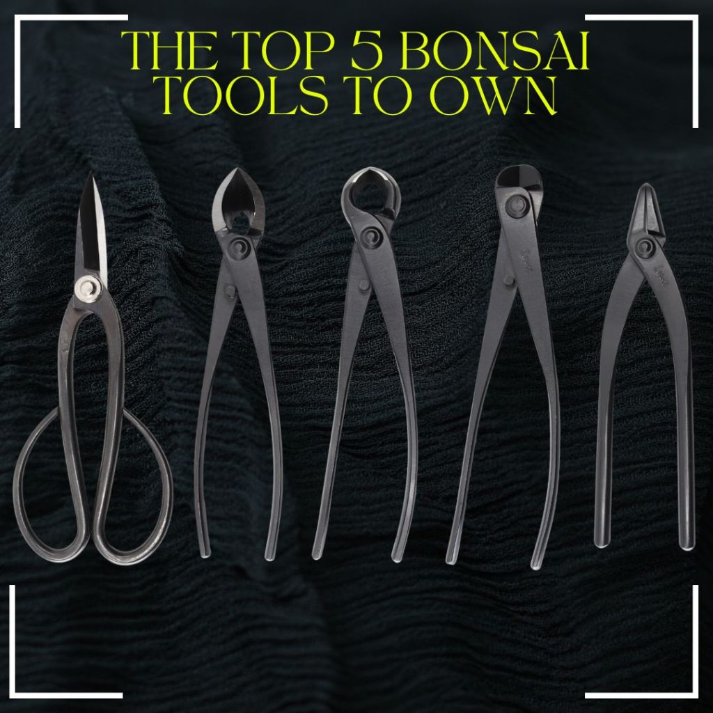 Best Bonsai Tools Brand