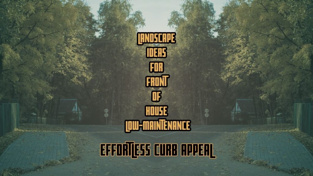 Landscape Ideas
