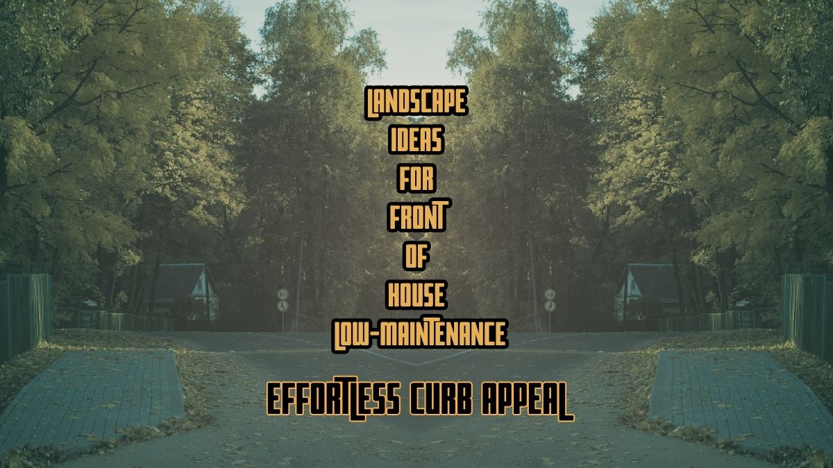 Landscape Ideas