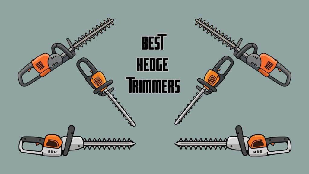 Best Hedge Trimmer