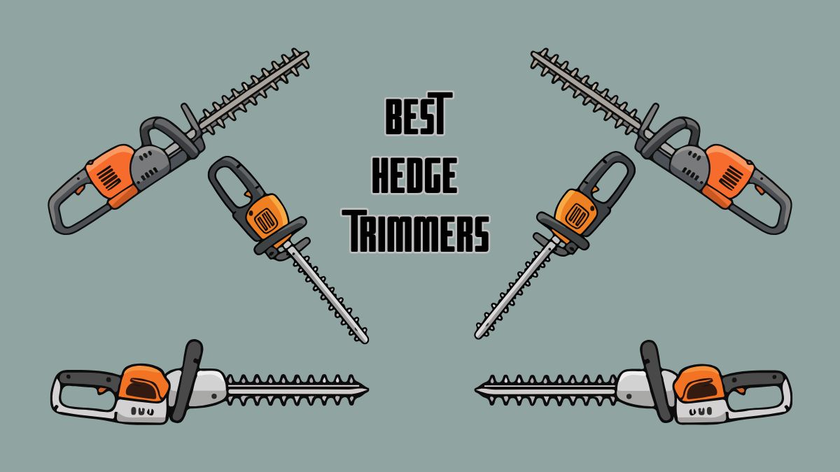 Best Hedge Trimmer