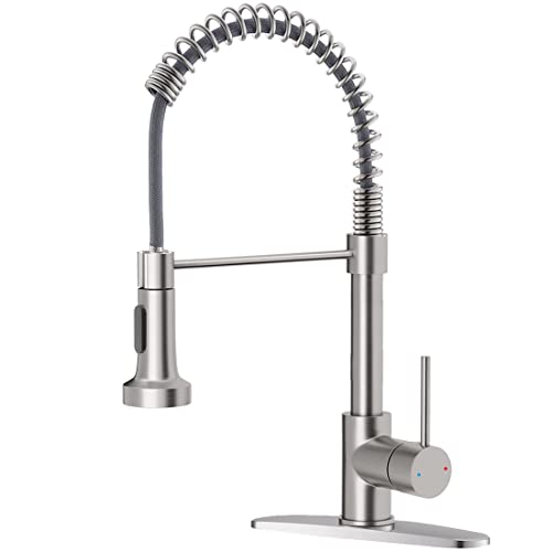 Owofan Kitchen Faucet