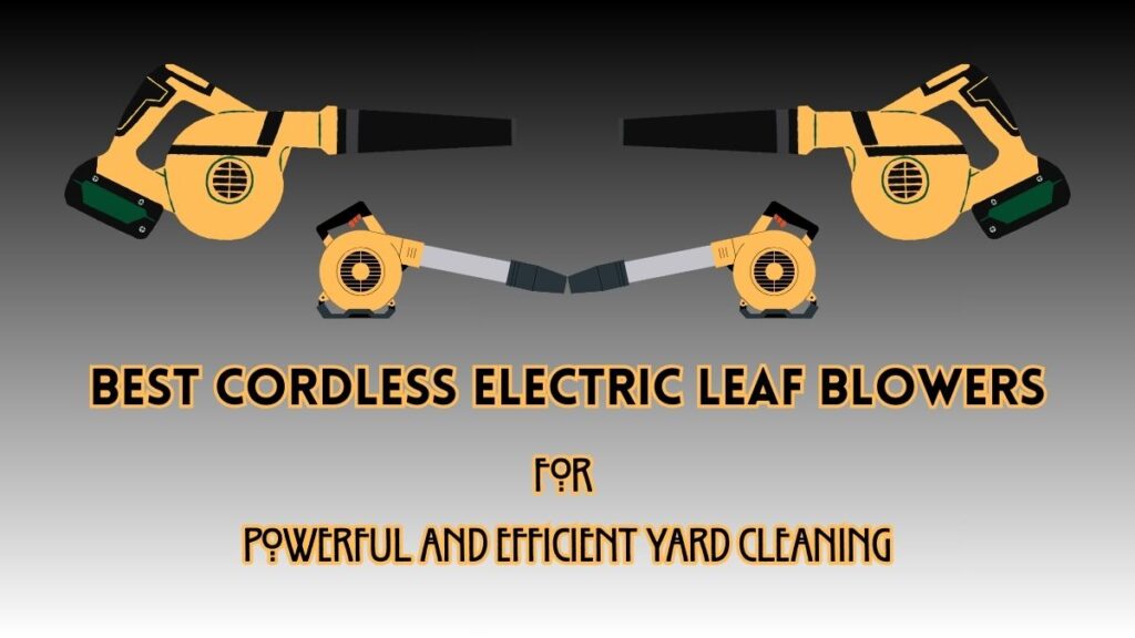 Best Cordless Electric Leaf Blowers