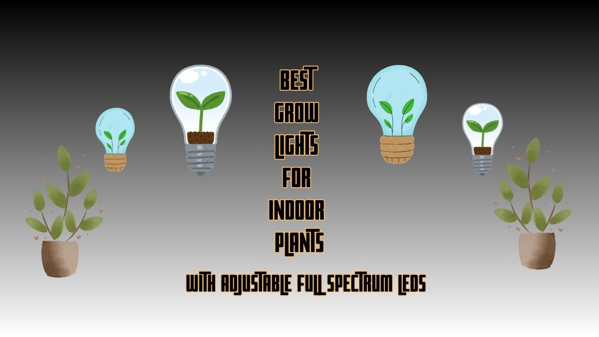 Best Grow Light