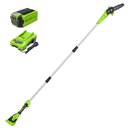 Greenworks 40V 8-Inch Cordless Polesaw, 2.0Ah Battery and Charger Included PS40B210