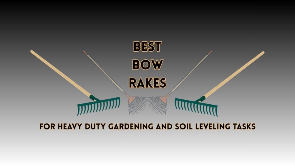 Best Bow Rake