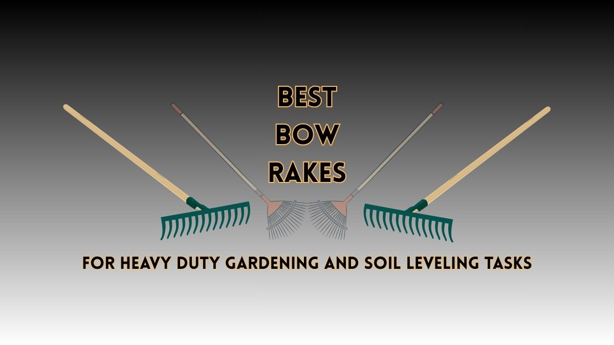 Best Bow Rake