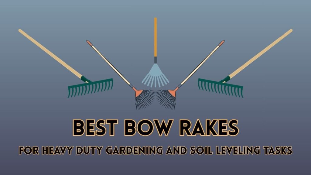 Best Bow Rakes