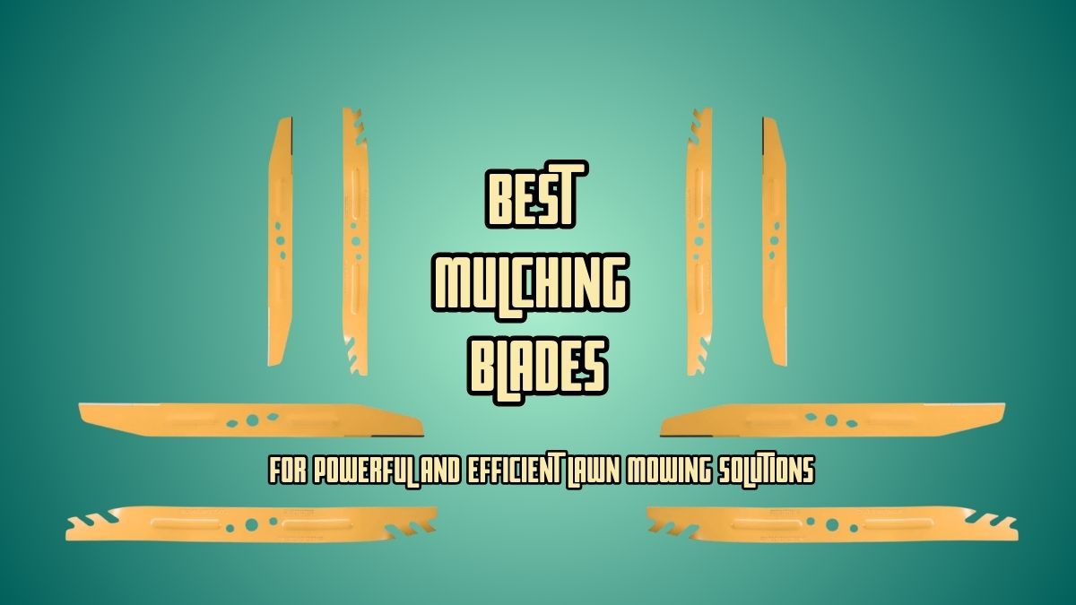 Best Mulching Blade