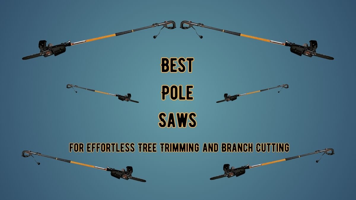 Best Pole Saw