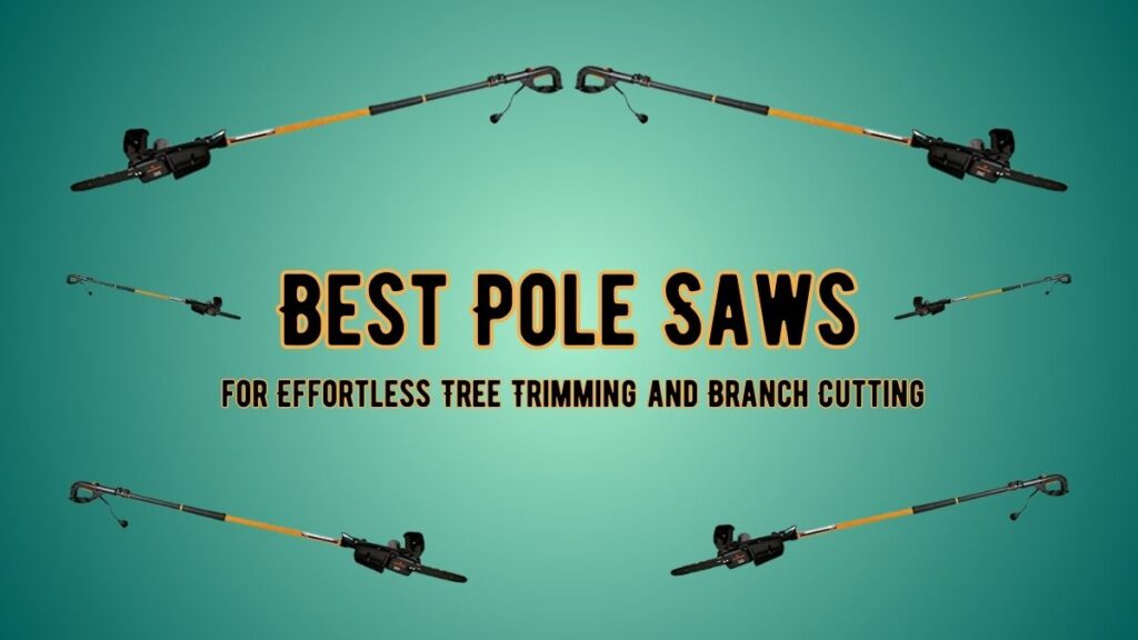 Best Pole Saws