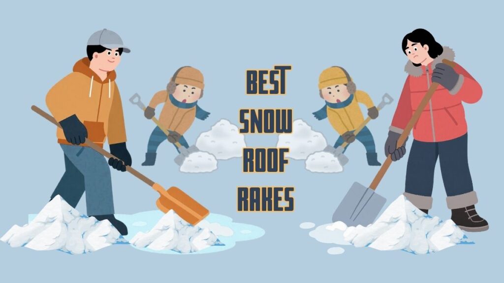 Best Snow Roof Rakes